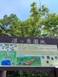 爽やかな青空の...