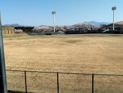 ピークは少し過...