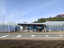 午後買いに行っ...