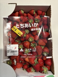 通りがかりにお...