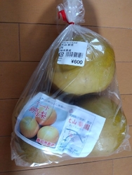 お彼岸用のお花...