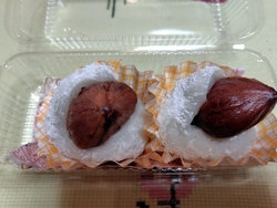 大きな栗が目に...