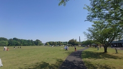 子供がまだ中学...