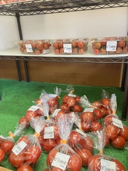 春になり植物が...