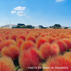 東高橋公民館に...