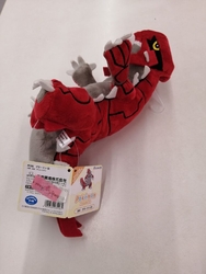 運動会を頑張っ...
