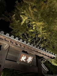 「足利灯り物語...