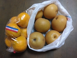 ライトアップ商...