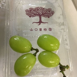 直売所でゲット...