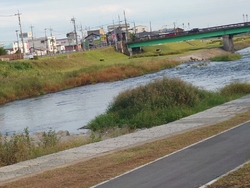 黒川に架かる緑...