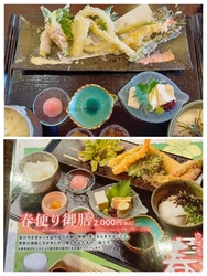春野菜を食べた...