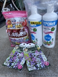 沢山花苗を買っ...