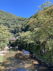 どうしても五目...