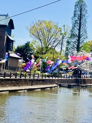 前回は、どんよ...