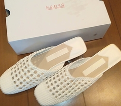 またまたお買い...