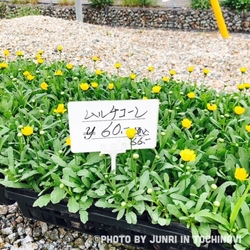 毎回来る度にお...