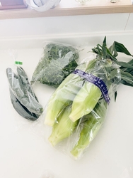 新鮮なお野菜が...