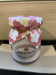 鬼怒川の桜祭り...