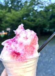 天平の丘公園の...