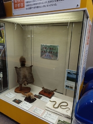 1階ロビーで羽...