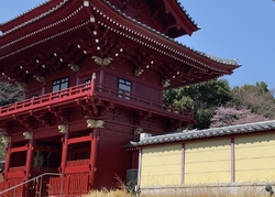 宇都宮で一番早...