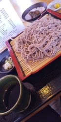 わたしは二八旦...