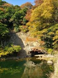 サイクリングで...