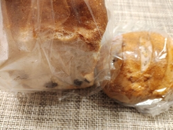 せっかく足利を...