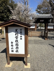 梅が見頃という...