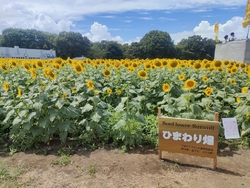 こちらの公園を...