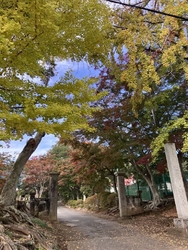 11月最初の日...