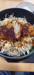 初めて食べに来...