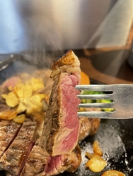 企画メニュー！...