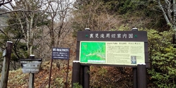 街道沿いに目に...