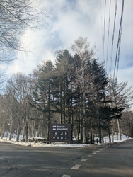 この時期にして...