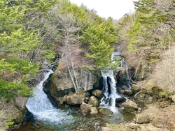 久々の訪問です...