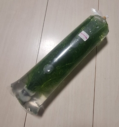 水槽の水草を買...