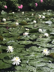 口コミで気にな...