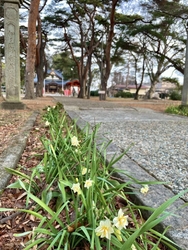 成田山付近を朝...