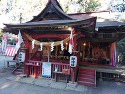 今年の初詣もこ...