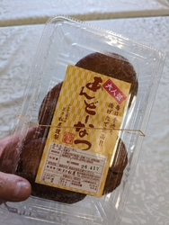 我が家のタケノ...