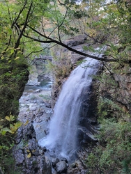 時間的に日が射...