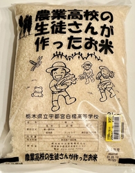 この日は７の市...