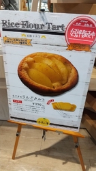 ご贈答用にバウ...