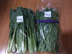 大好きな春菊が...
