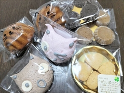 ようやく伺うこ...