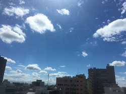 近くにたまたま...