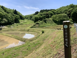 5月10日に訪...