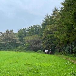 おもいきってB...