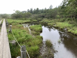 夏の暑さを忘れ...